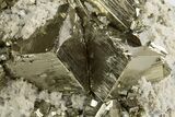 Gleaming Cubic Pyrite Cluster with Quartz & Fluorapatite - Peru #329327-1
